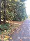 0 lot 200 baker loop road, concrete,  WA 98237