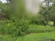  monroe township,  NJ 08831