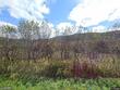 3190 old route 17, deposit,  NY 13754