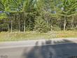  conover,  WI 54519