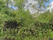 14300 horridge rd, kansas city,  MO 64149