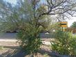 2730 calle anna jean, santa fe,  NM 87505