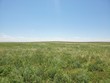 tbd county road 49, akron,  CO 80720