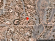 22 rising moon, santa fe,  NM 87506