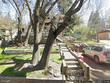  crestline,  CA 92325