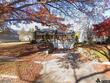 1409 grampian blvd, williamsport,  PA 17701