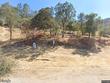  tollhouse,  CA 93667