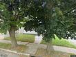 1102 cutler st, schenectady,  NY 12303