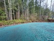 8686 timberland ct, concrete,  WA 98237