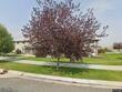  helena,  MT 59601