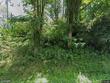  cortland,  NY 13045