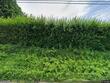 2944 bernville rd, leesport,  PA 19533