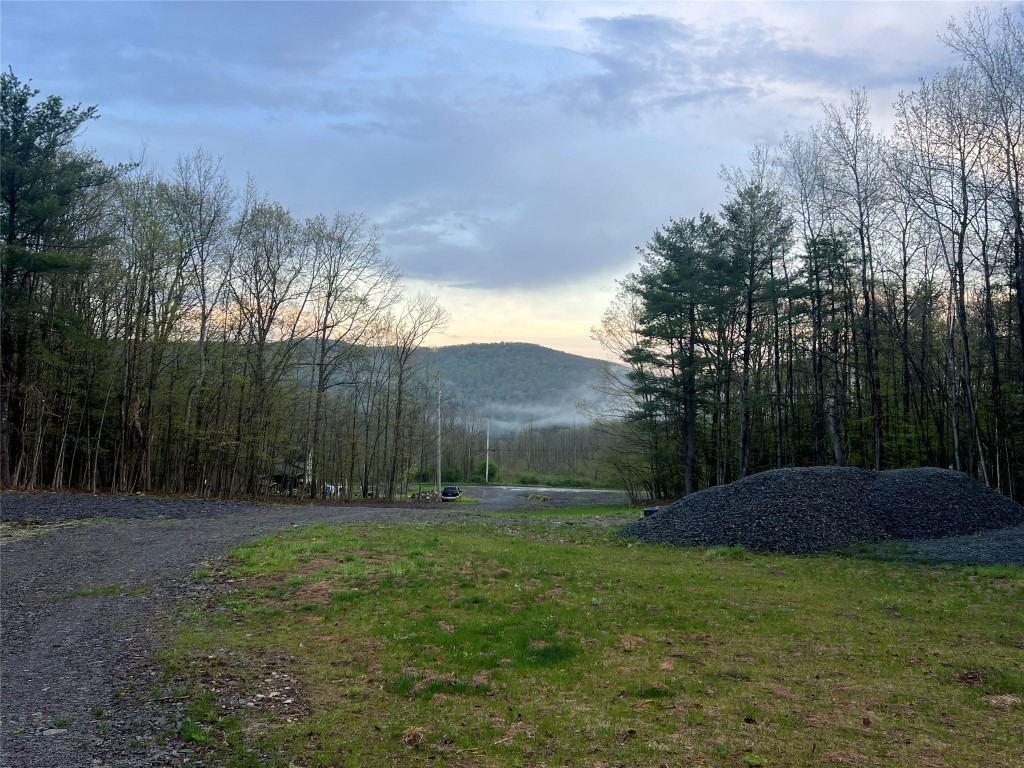 289 stannard rd, windsor,  NY 13865