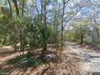 308 jungle rd, edisto island,  SC 29438