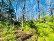 lot #3 yellow birch rd, presque isle,  WI 54557