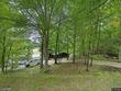 9668 nc highway 119 n, semora,  NC 27343
