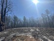 excalibur trail (lot 267), cedar grove,  TN 38321