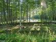 59 tuelltown rd, west paris,  ME 04289