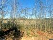 3882 clyo kildare rd, clyo,  GA 31303