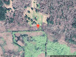 301 amber ct, cottageville,  SC 29435