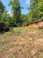lot 4 red dog ln, whittier,  NC 28719