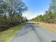 wesley chapel avenue, cottageville,  SC 29435
