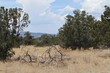 lot 77 western view drive, datil,  NM 87821