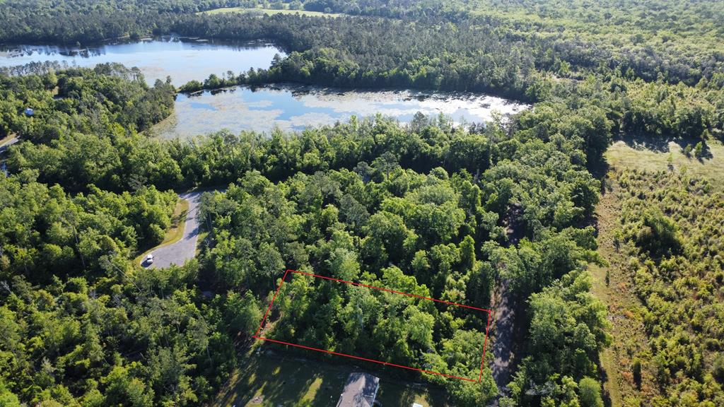 lot 33 bodie lister rd, wewahitchka,  FL 32465