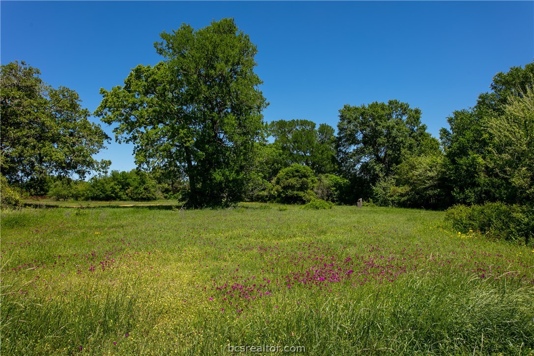 lot 25 brazos court, caldwell,  TX 77836