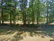 3351 county road 215, middleburg,  FL 32068