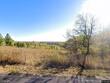 1115 s borgman rd, buckner,  MO 64016
