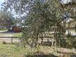 4292 sw 73rd trl, bushnell,  FL 33513