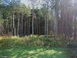 3396 pine hill rd, marathon,  NY 13803