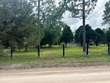  williston,  FL 32696