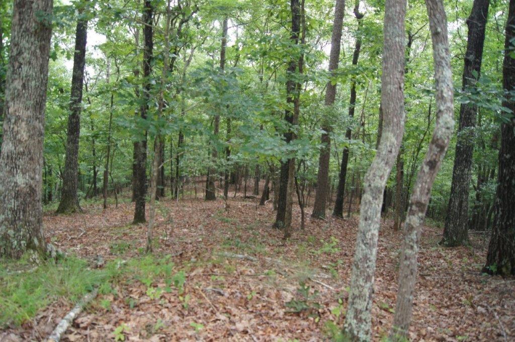 bumpy trail, dawsonville,  GA 30534