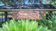 3238 chimney dr, middleburg,  FL 32068
