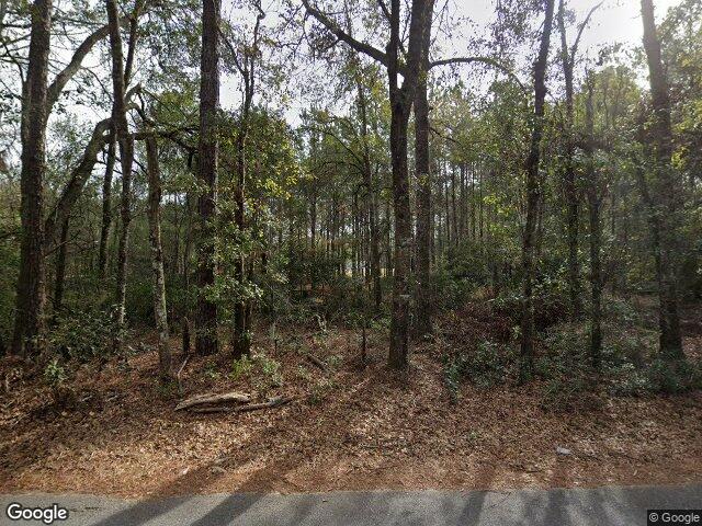 1419 low ground rd, guyton,  GA 31312