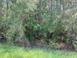 lot 3 bill nelson rd, wewahitchka,  FL 32465