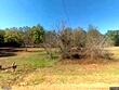  summerton,  SC 29148