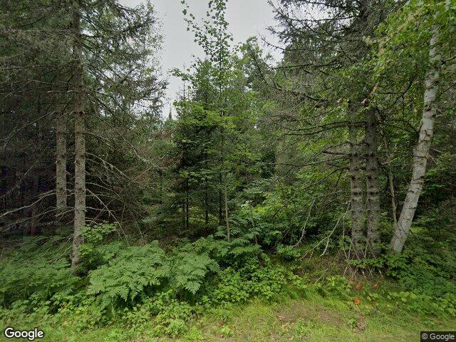 2515 e hunter lake rd, eagle river,  WI 54521