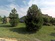 14353 norwood st, overland park,  KS 66224