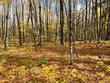 lot 26 black forest rd, presque isle,  WI 54557