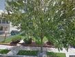  englewood,  NJ 07631