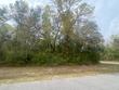 lot 7 seven springs dr, wewahitchka,  FL 32465