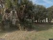 613 pompano rd, edisto island,  SC 29438