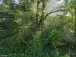 6328 stevens rd, homer,  NY 13077