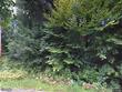 50 frazier rd, worcester,  VT 05682