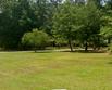 74 auld brass rd, walterboro,  SC 29488