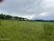 nw co rd 235, lake butler,  FL 32054