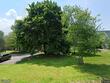 2014 kypriotis dr, cortland,  NY 13045
